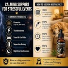 Buster s Organic Hemp Oil Large 60 Milliliters 2-pack For Dogs   Cats