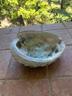 Large Natural Iridescent Abalone Shell Collectible Decorative Piece 8 5 X 7    