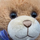 First   Main Teddy Bear Plush Dean Brown Minky Soft Stuffed Animal 14  Toy Gift