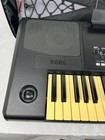 Korg Pa300 Professional Arranger Workstation 61-key Keyboard Synthesizer Black