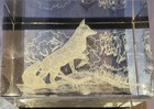 Fox Hunt Hunting Laser Etched Glass Paperweight