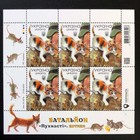 Stamps Of Ukraine  2024  Sheets   battalion  fluffy   Cats  Dogs
