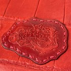 Vintage Carlos Falchi Journal Agenda Cover Red Italian Leather Croc Embossed Zip