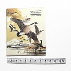 Vintage 1975 Eddie Bauer Fall Hunting Camping Outdoor Clothes Catalog Guide Book