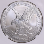 2025 American Silver Eagle Coin 0 999 Silver Round 1 Oz