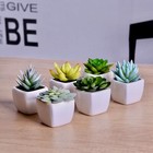 Faux Succulents Set Of 6 In Pots Artificial Green Plants Home Decor Office Desk