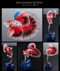 Bandai Gashapon Betta Action Figure Advance Carp Full Moon 13cm Japan