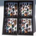 Real Insect Bug Butterfly Taxidermy Display Wood Framed Entomology Specimen Gift