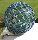 Japanese Glass Fishing Float Xl 14  Pale Sea Green In Blue Net Vntg 25f Usa Bz