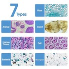120 Microscope Slides With Specimens For Kids And Adults  Prepared Slides For Mi