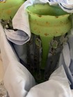Antique Bohemian  czech  Mantle Lusters 