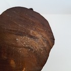 Wood Carved Pelican Leaning Back 6 1 4   Tall Dark Wood