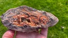 Large Dryhead Agate End Cut Montana 192gm  p1 