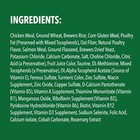 Feline Greenies Natural Dental Care Cat Treats Savory Salmon Flavor  21 Oz  Tub
