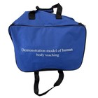 Advanced Midwifery Training Childbirth Simulator  Life Size Teaching Model