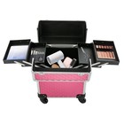 Professional Rolling Makeup Trolley Train Case Box Organizer Salon Cosmetic New
