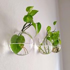 Hanging Wall Planters Pack Of 6 Glass Plant Pots Round Wall Vases For Flowers   