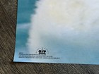 Coca-cola Polar Bear Vintage Poster Always Cool Always Coca-cola 1994 Coke D  cor