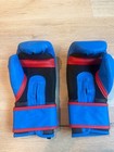 Everlast Prospect Youth Boxing Gloves 8 Oz Blue Red Kids Training Hook And Loop