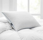 Sertapedic Cool Nites Queen Bed Pillow  By Serta