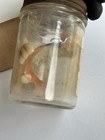 Vintage Metal Partial Denture Teeth  In Jar Bridge Dental Medical Oddity