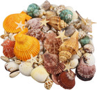 135 Pcs Sea Shells Mixed Beach Seashells Starfish  Colorful Various Sizes Natura