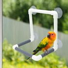 Bird Portable Suction Cup Shower Perch Parrot Window Wall Standing Platform F   