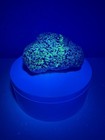 Electric Fluorescent Green Willemite   Franklinite Mineral Specimen From Nj