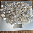 1 Pound Oregon Coast Agates