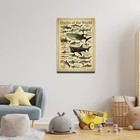Types Of Sharks Of The World Knowledge Canvas Wall Art  Vintage Shark Poster