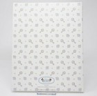 Disney Mickey   Minnie Baby Steps  A Disney Baby Record Keepsake Memory Book
