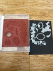 Stampin  Up  Forever Grapevine Bundle - Stamp Set And Matching Dies - Retired