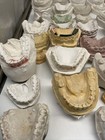 Lot Of 70  Dental Oddity Plaster Real Tooth Teeth Molds Dentist Cast Impressions