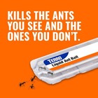Indoor Liquid Ant Killer Baits  6-count 