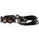 Sbt Stator Compatible With Kawasaki 21003-3733 Sts  750 Ss  Ss Xi  750 Stx