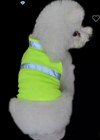 Dog Dad Safety Reflective Dog Vest Small Med Large 