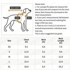 Cats Accessories Pets Warm Kittens Clothes For Winter Kitten Pullover Apparels