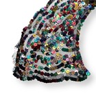 Vintage Sequined Collar Neckline Applique  Multicolor Beaded Costume Trim