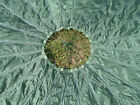 24ft  Green Military T-10 Res  Parachute W lines Cut At The  Canopy