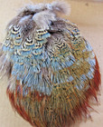 Peacock Pheasant Feathers