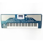 Korg Pa800 61-key Arranger Keyboard W  Ec5 Controller   Gator Gig Bag