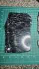 Lot Of Multiple  Stromatolite Fossils Slabs From Dr Bruce Stinchcomb Collection 