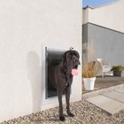 Pet Door For Wall 3-flap Steel Frame Aluminum Lock Large Dog Cat Door Up To 100l