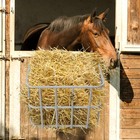 Large Capacity Hay Feeder Steel Goat Hay Rack Wall Mounted Horse Hay Holder