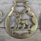 Lot Of 10 Vintage English Horse Brass Harness Medallions England Equestrian