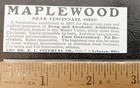 Maplewood Drug alcohol Rehab Dr  J l  Stephens Co vtg 1902 Print Ad lebanon ohio
