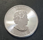 2017 Canadian Maple Leaf 1 Oz  999 Fine Silver  5 Bu From Canada Mint Buy Now 