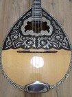Greek Bouzouki 1980 Professional  Hardcase    Pickup   300 Greek Backing Track