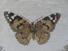 Aubusson Style French Country Needlepoint Pillow W Insert Butterfly Petit Point