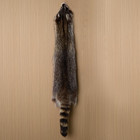 1pcs Natural Tanned American Raccoon Fur Hide Whole Skin Pelts With High Grade
